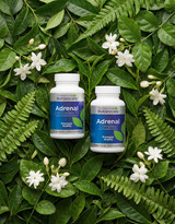Adrenal Fatigue vs. Adrenal Exhaustion: The Thyroid, Stress & Hormone Connection