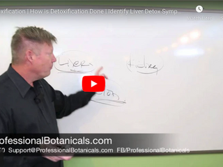 What is Detoxification