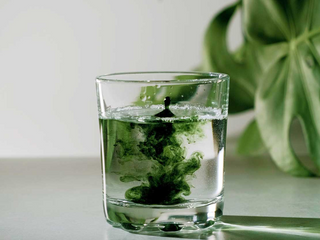 To Detox or Not?