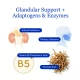 Adrenal Complex  key ingredients and substance and targets