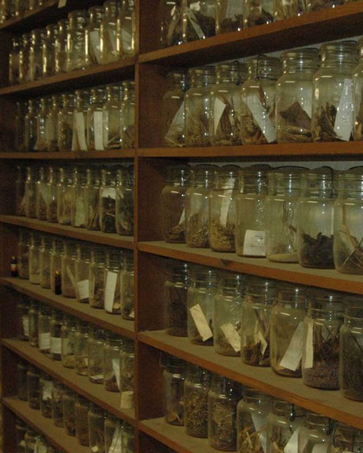Historic botanical herb collection