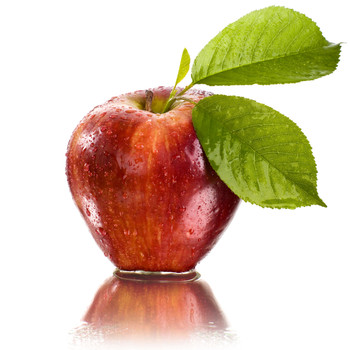 Apple Flavor Concentrate