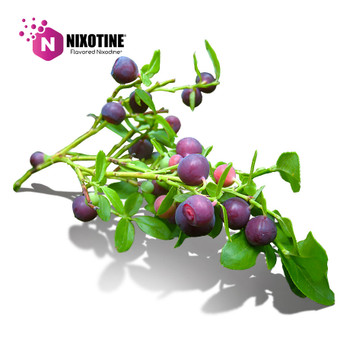 Wild Huckleberry Nixotine (Flavored Nixamide)