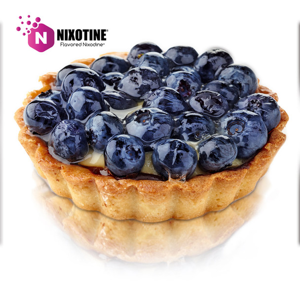 Blueberry Pastry Nixotine (Flavored Nixamide)