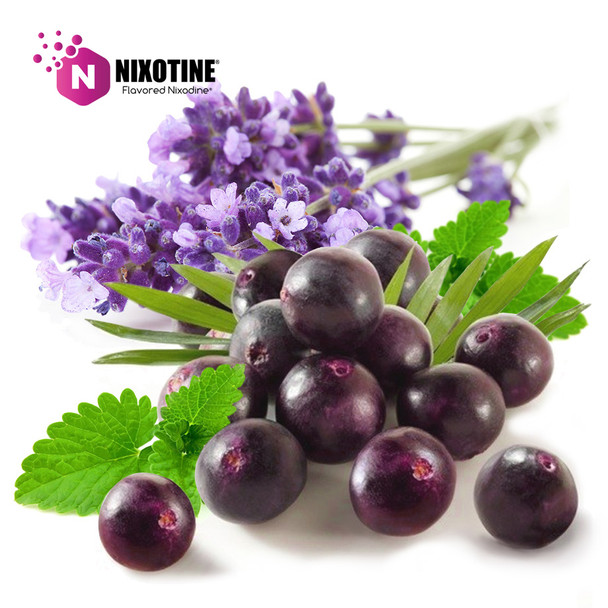 Purple Haze Nixotine (Flavored Nixamide)