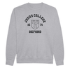 Colleges One Colour Print Sweatshirt - Grey