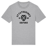 Colleges One Colour Print T-Shirt - Grey