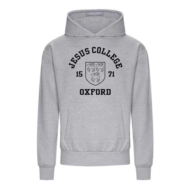 Colleges One Colour Print Hoodie - Grey