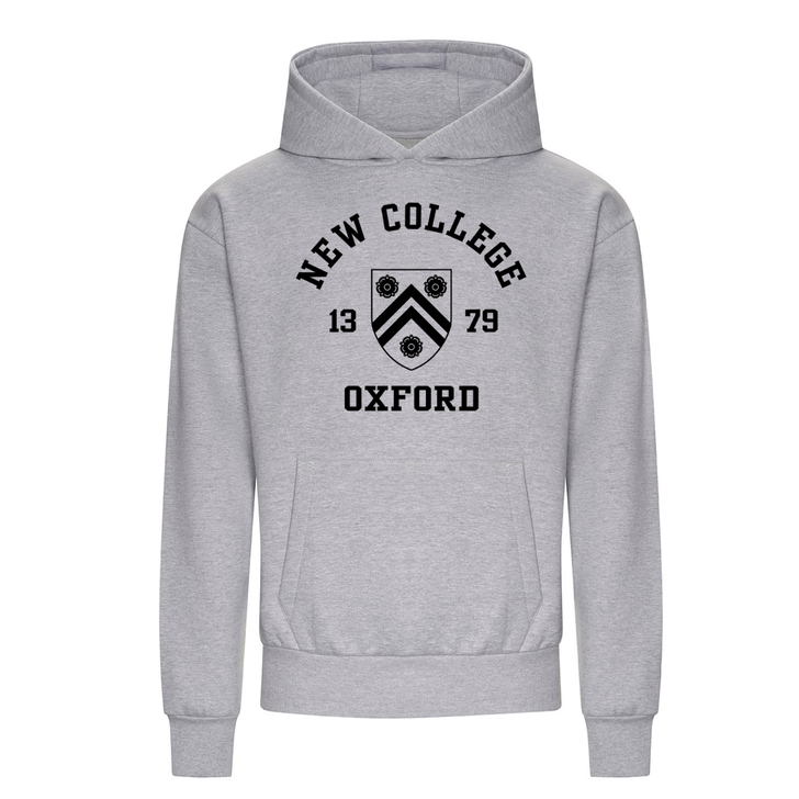 Colleges One Colour Print Hoodie - Grey