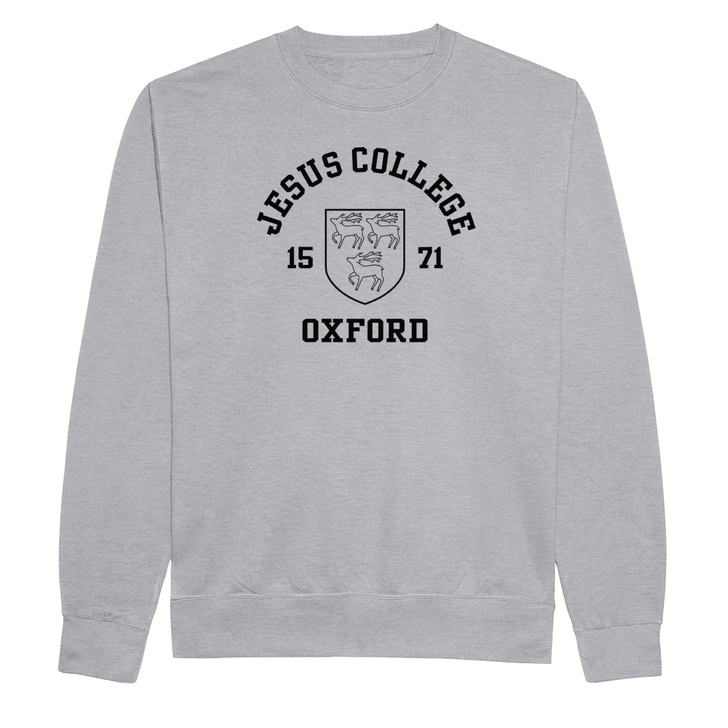 Colleges One Colour Print Sweatshirt - Grey