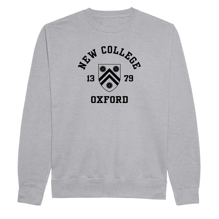 Colleges One Colour Print Sweatshirt - Grey