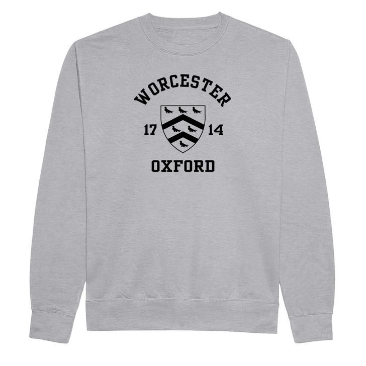 Colleges One Colour Print Sweatshirt - Grey