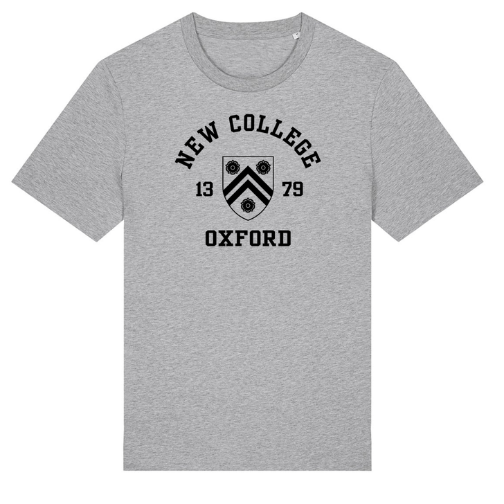 Colleges One Colour Print T-Shirt - Grey