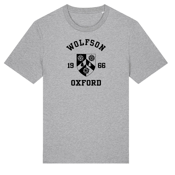 Colleges One Colour Print T-Shirt - Grey