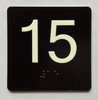 15 Sign with Raised Letters Ada Sign