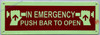 FD Sign Photoluminescent IN EMERGENCY PUSH BAR TO OPEN