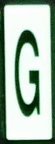 PHOTOLUMINESCENT DOOR NUMBER G SIGN HEAVY DUTY  Signage
