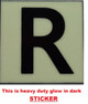 PHOTOLUMINESCENT DOOR NUMBER R