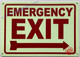 FD Sign Photoluminescent EMERGENCY EXIT WITH RIGHT ARROW