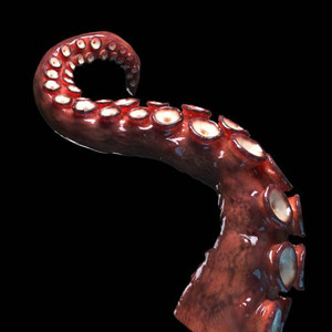 R87_CP-HOKO63614