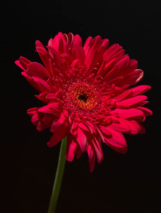 R87_94522