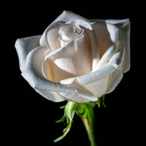 R87_98625