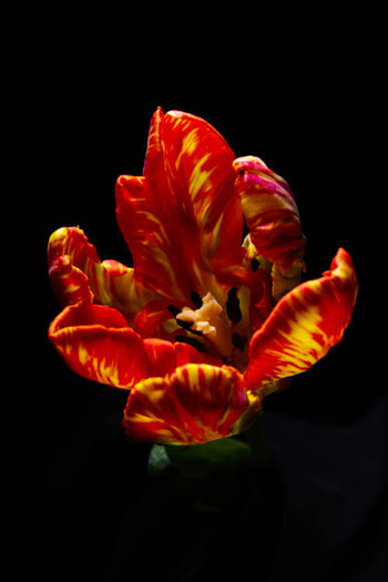 R87_48308