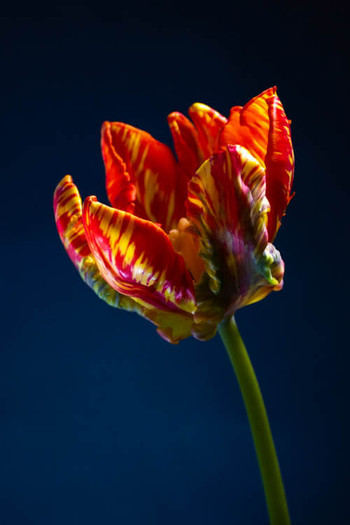 R87_94841
