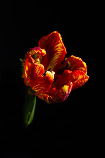 R87_46371