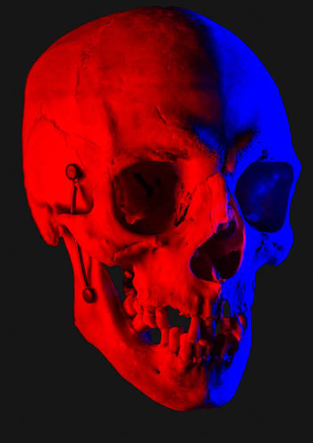 R87_5621