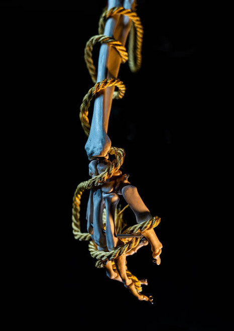 R87_27453