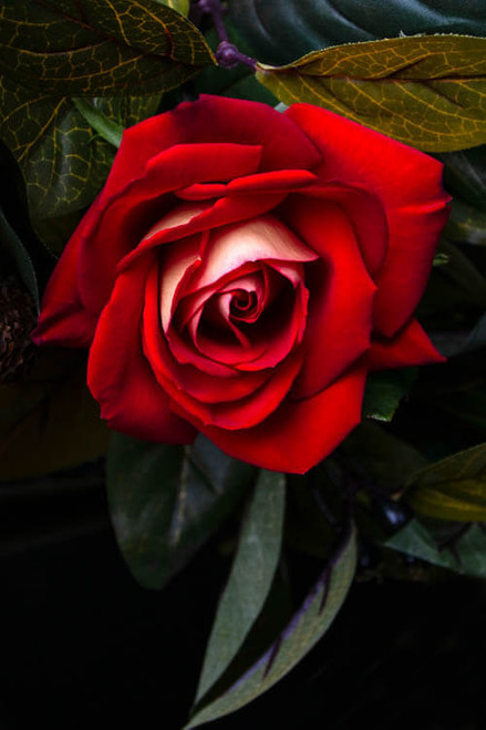 R87_80614