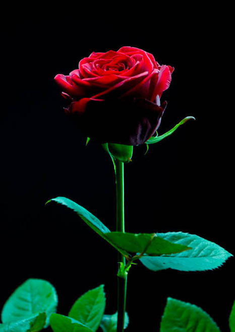 R87_3458