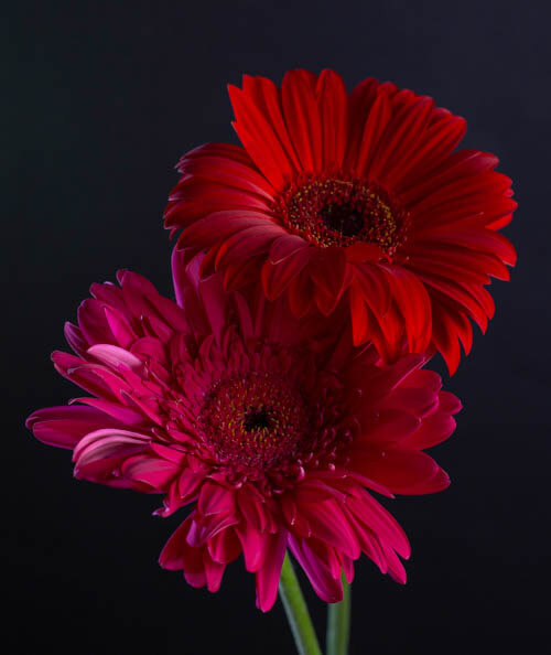 R87_5683