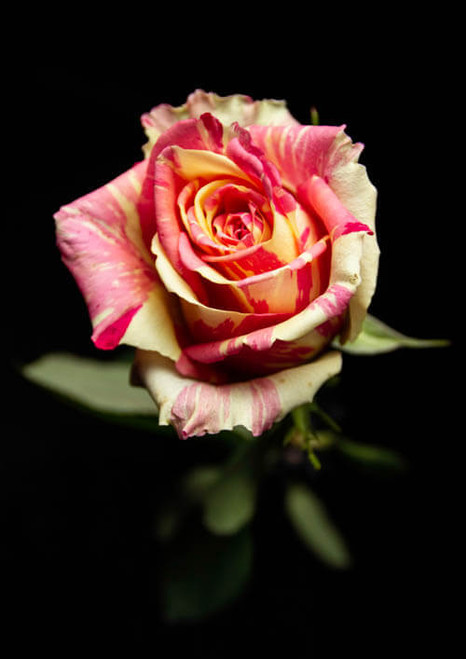 R87_54913