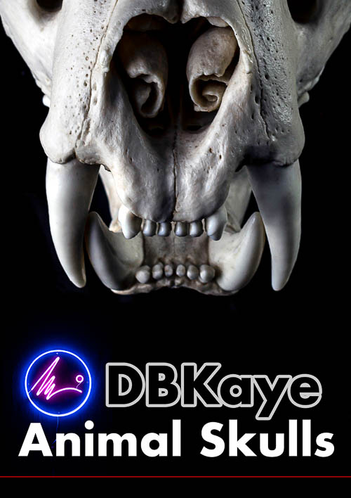 DBKaye - 50 Animal Skulls