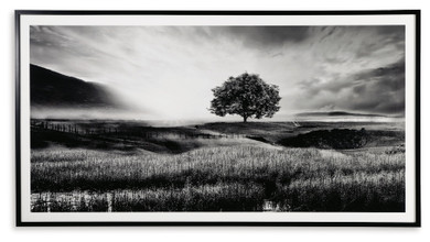 Deborland - Wall Art - Black / White