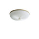 Lamella 235