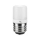 E26 5W 120V 3-WAY Lamp