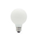 G25 E26 6W 120V White Lamp