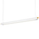 Trapets 67 Pendant
