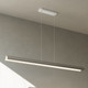 Pola 6ft Linear Suspension