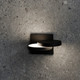 Lune Wall Sconce
