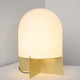 Dome Table/Floor Lamp