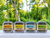 Grill Master Tin Collection