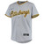 Nike Replica Gray Pittsburgh Pirates Replica Team Jersey