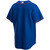 Nike Replica Royal New York Mets Alternate 2020 Replica Team Jersey