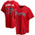 Men'S Atlanta Braves Ronald Acuna Jr. Red Alternate Player Name Baseball Jersey Mlb Baseball Jersey23