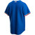 Nike Replica Royal Texas Rangers Alternate 2020 Replica Team Jersey