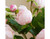 artificial two-head peony stem champagne for decorative home decor
